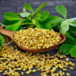 manfaat ekstrak fenugreek