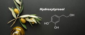 hydroxytyrosol molecule