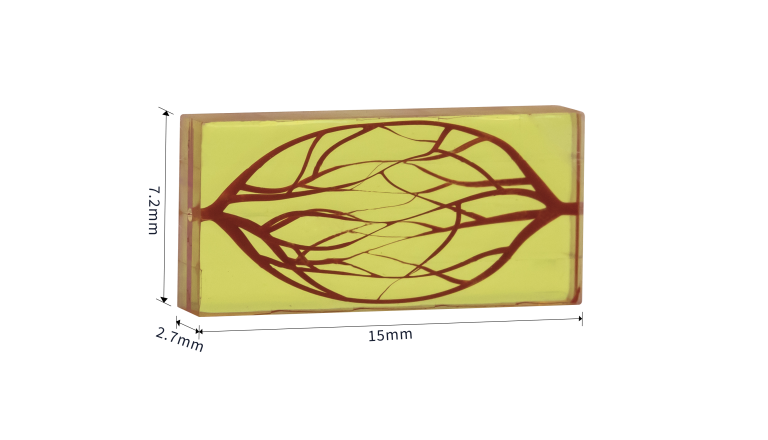 Microfluidics Channel Sample