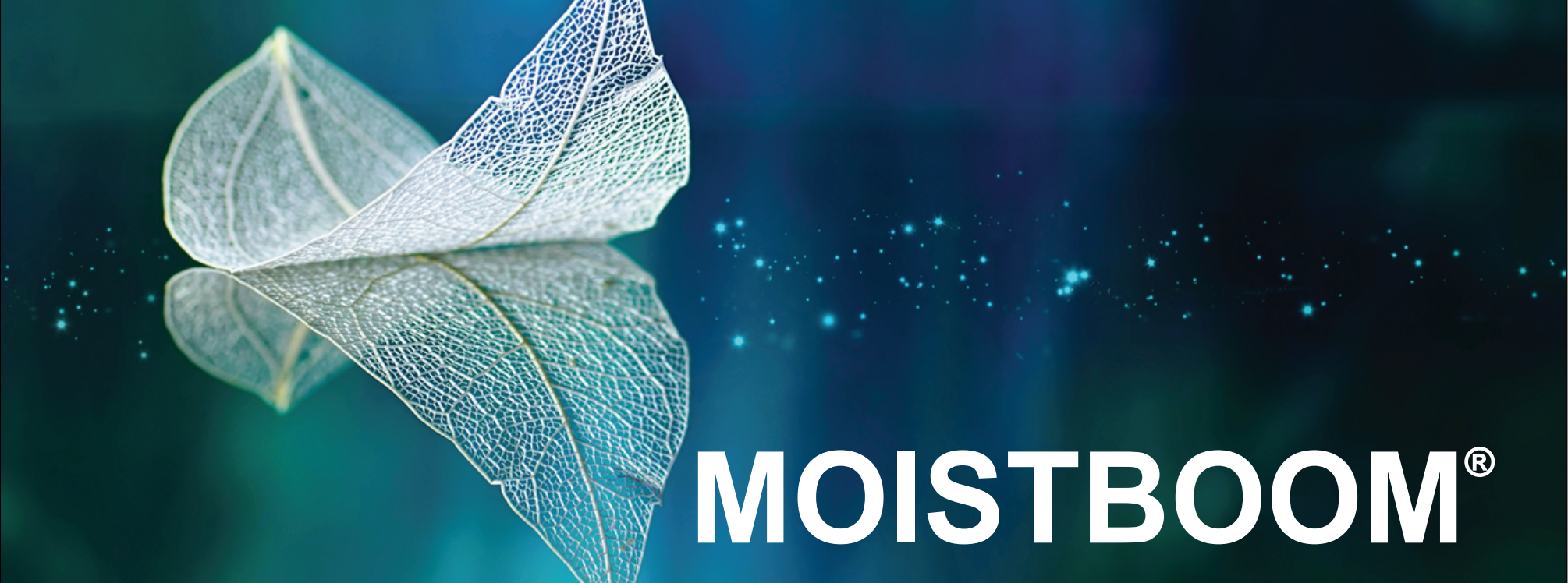 Moistboom