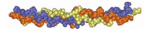 Collagen
