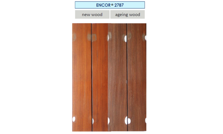 Hasil uji ENCOR pada kayu